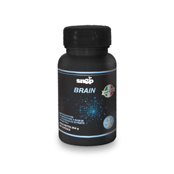 SNEP SPORT BRAIN